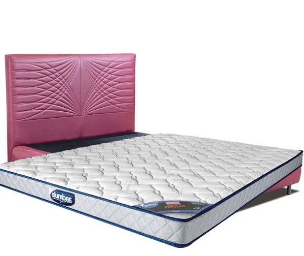 C_Kelly (Queen)_Mattress (Popular HD 5)